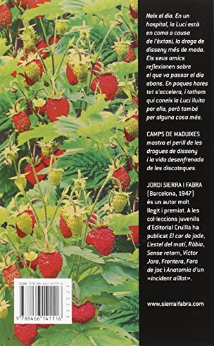 Camps de maduixes (Gran Angular)