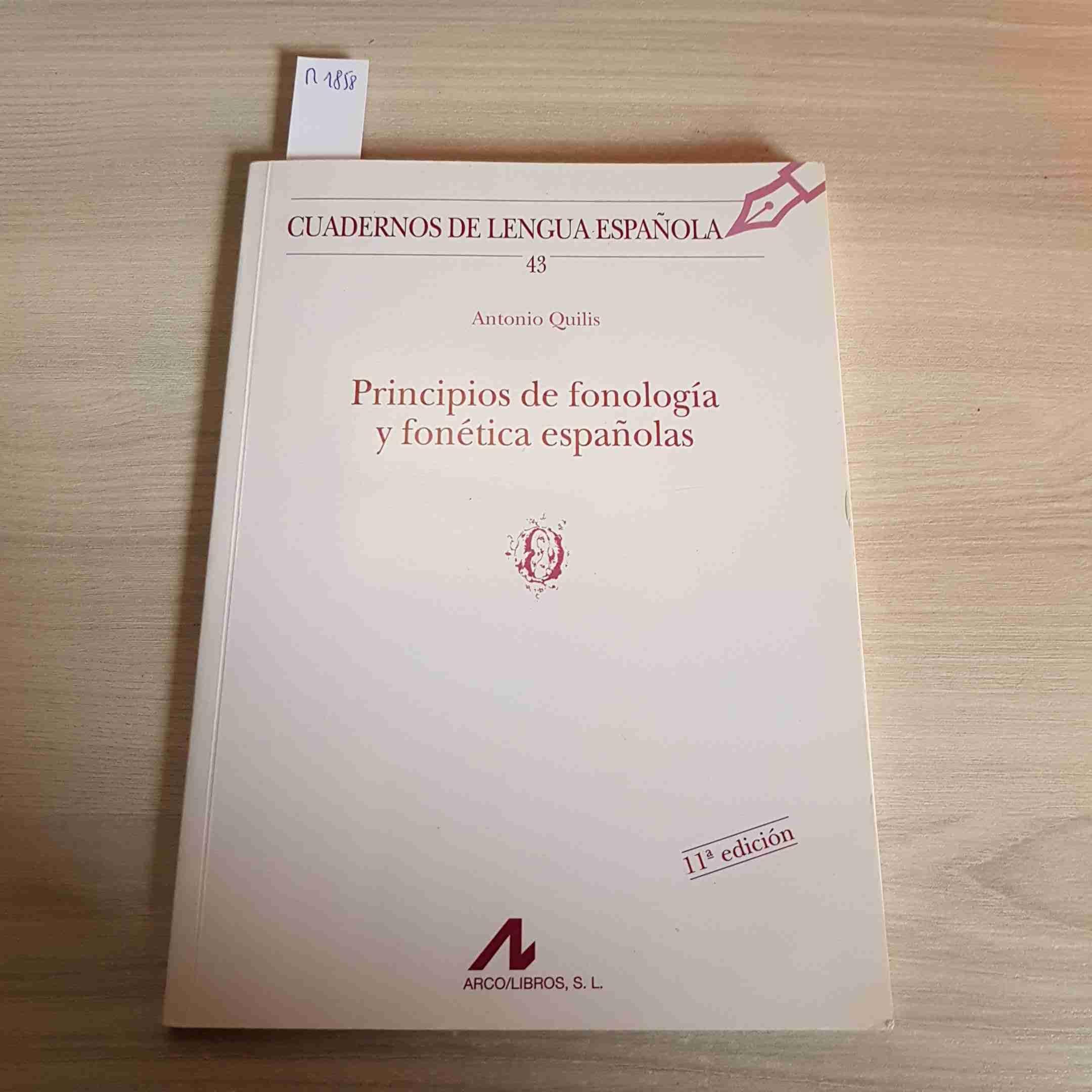 PRINCIPIOS DE FONOLOGÍA Y FONÉTICA ESPAÑOLAS (O): 43 (Cuadernos de lengua española)
