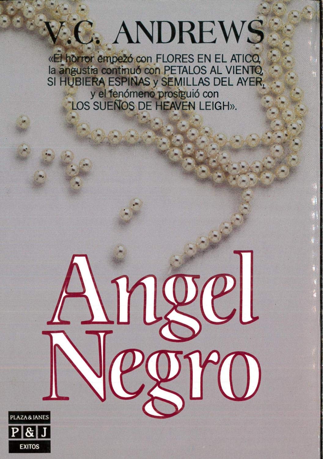 Angel negro