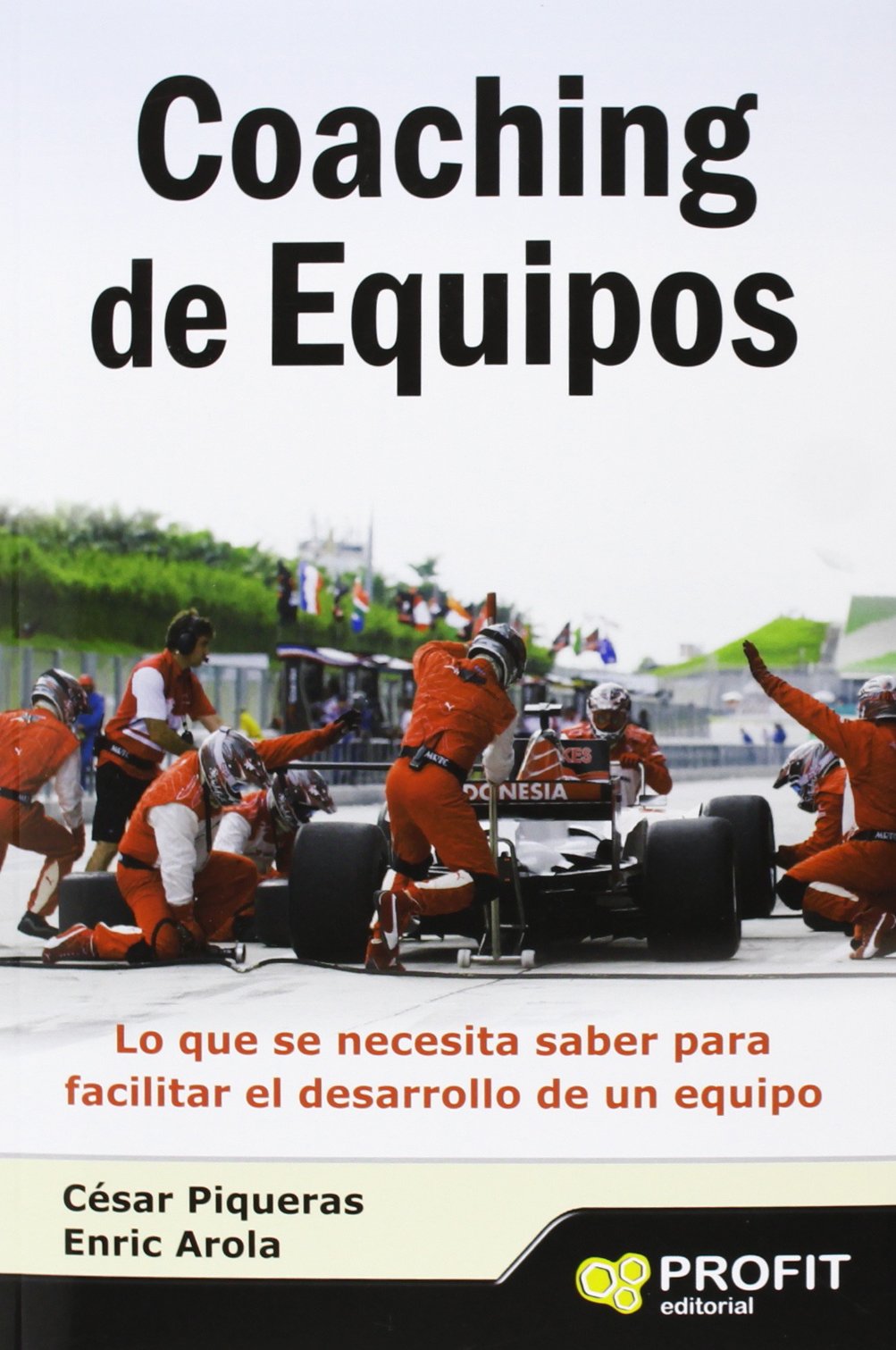 Coaching de equipos: Lo que se necesita saber para facilitar el desarrollo de un equipo (SIN COLECCION)