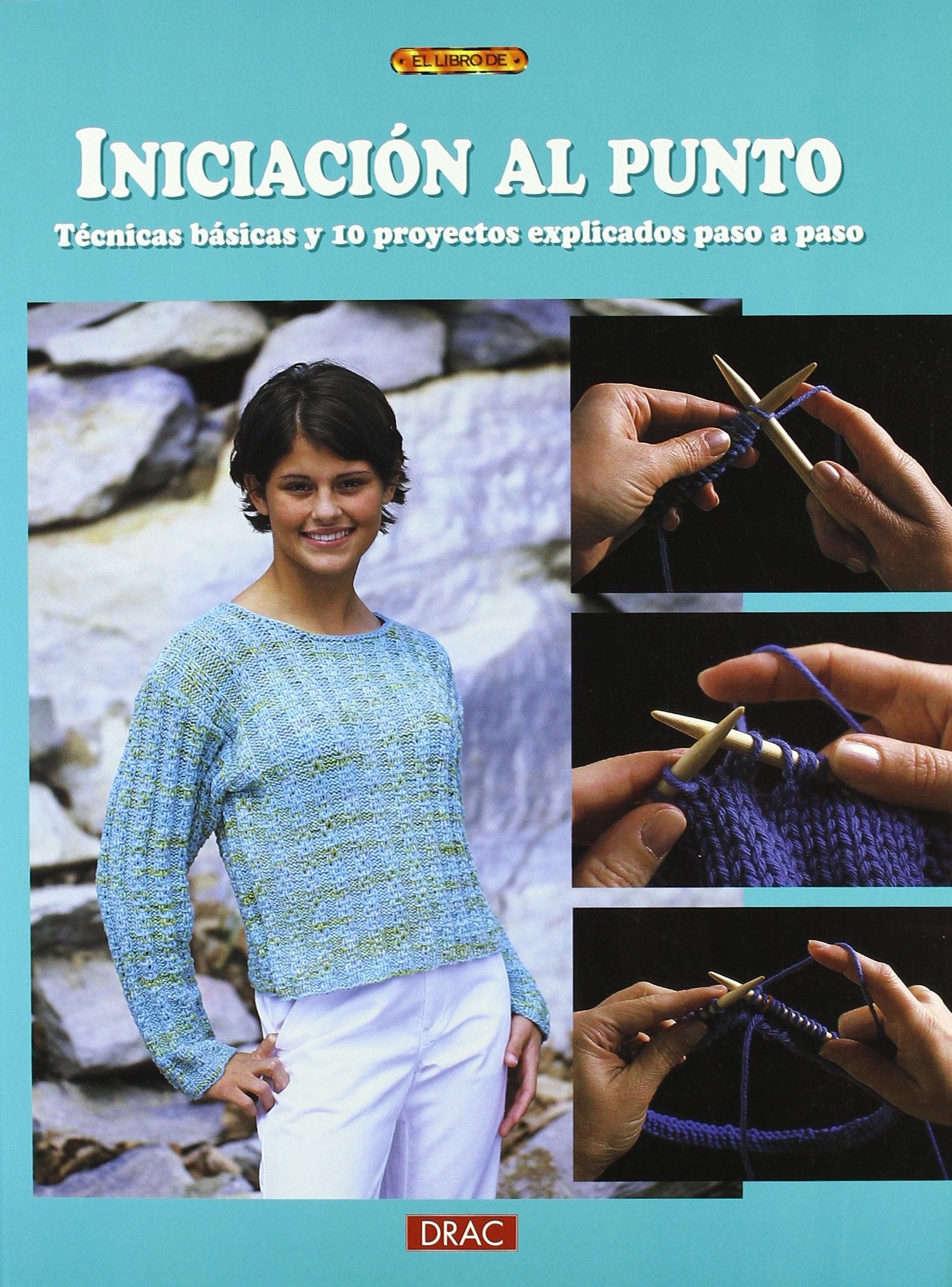 Iniciación al punto : técnicas básicas y 10 proyectos explicados paso a paso