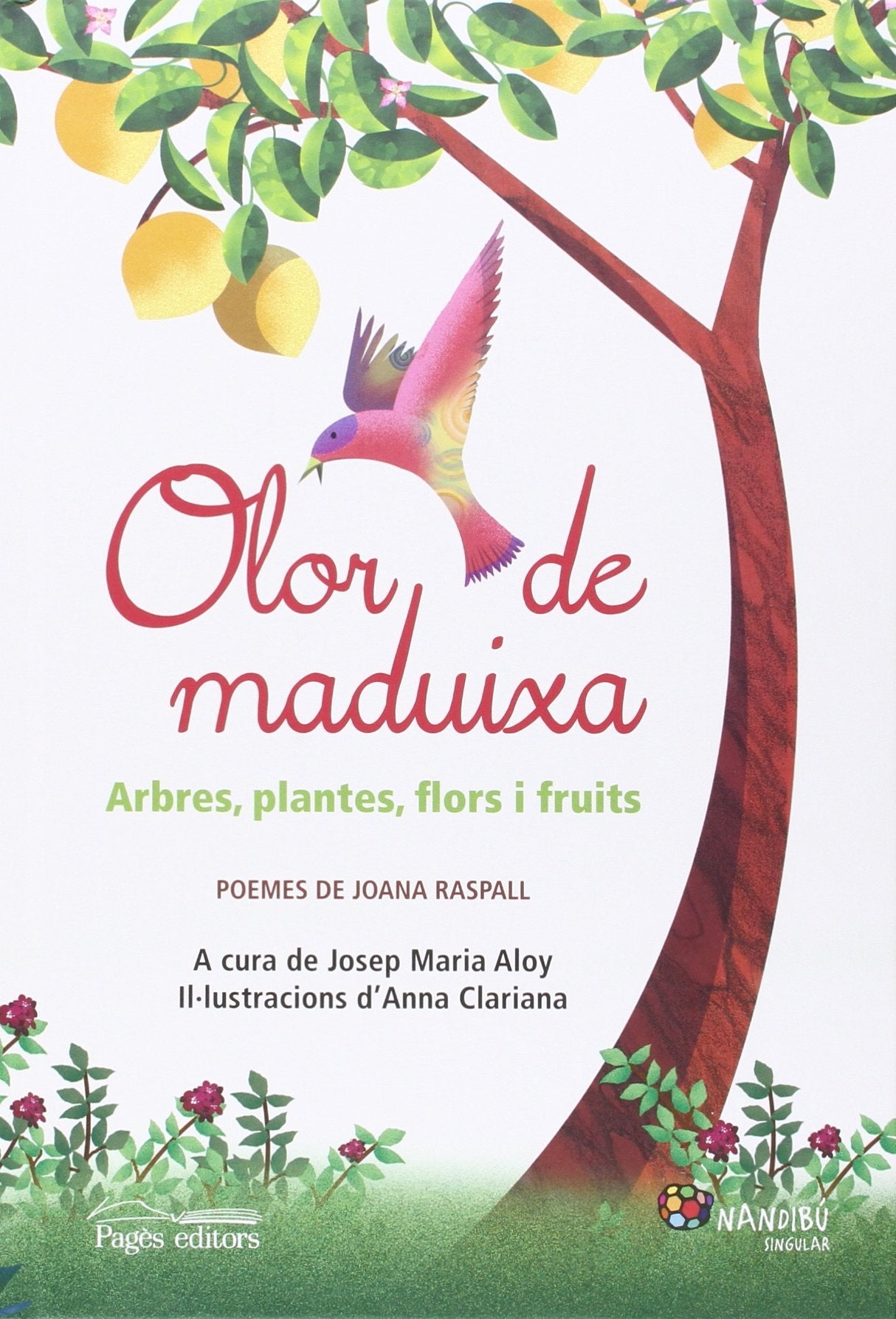 Olor de maduixa (Nandibú)