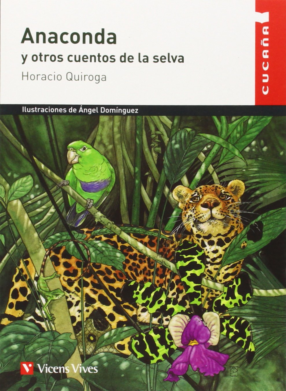 Anaconda Y Otros Cuentos N/c (Colección Cucaña) - 9788431660055 [Paperback] Dominguez Gazpio, Angel and Antas Garcia, Delmiro