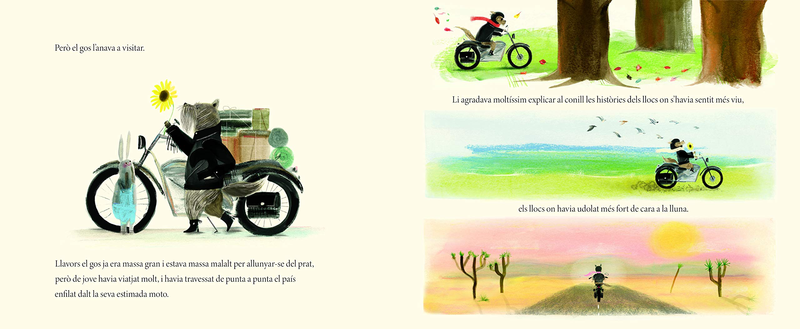 El Conill I La Moto (CATALAN)