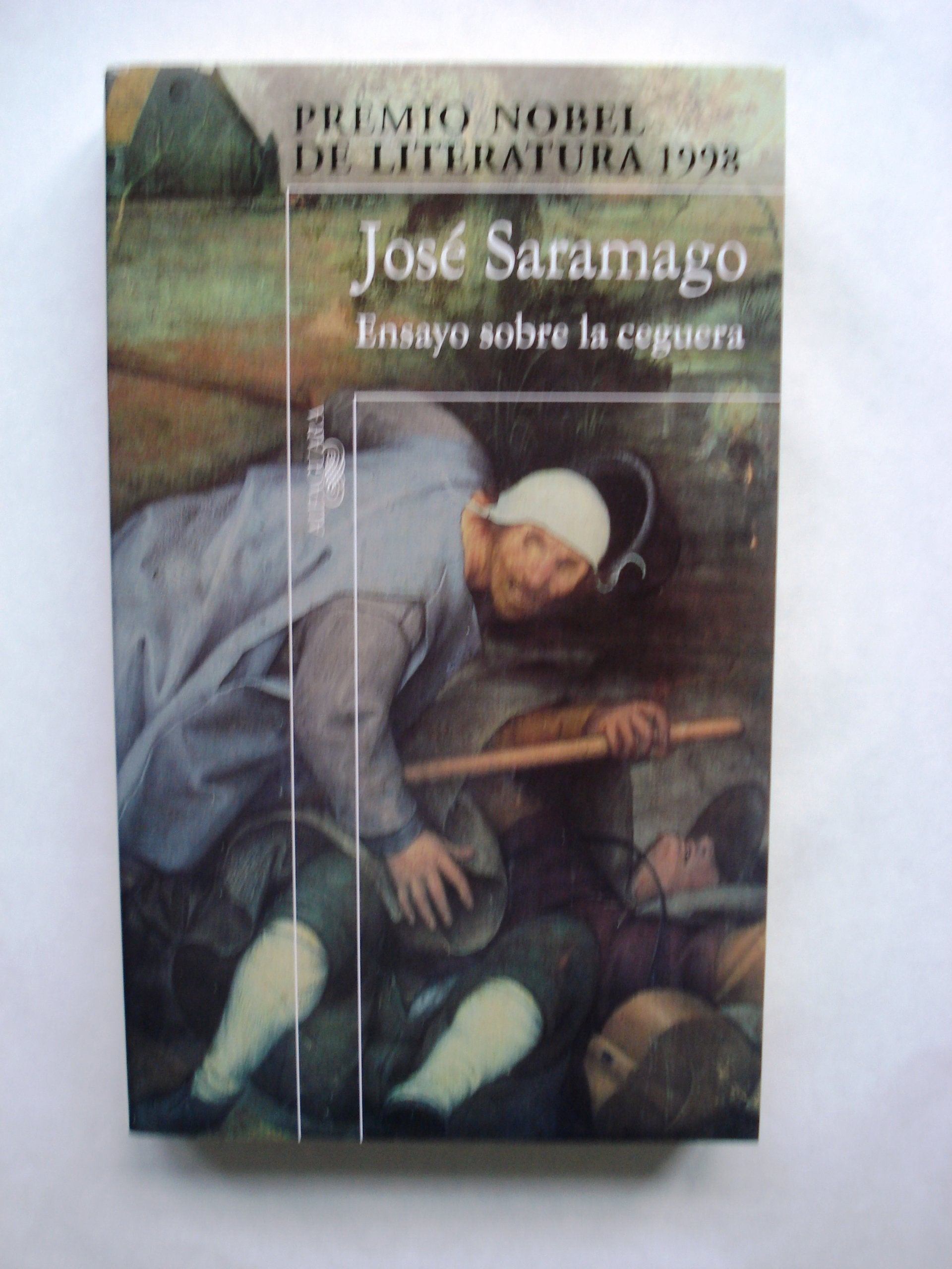 Ensayo Sobre La Ceguera