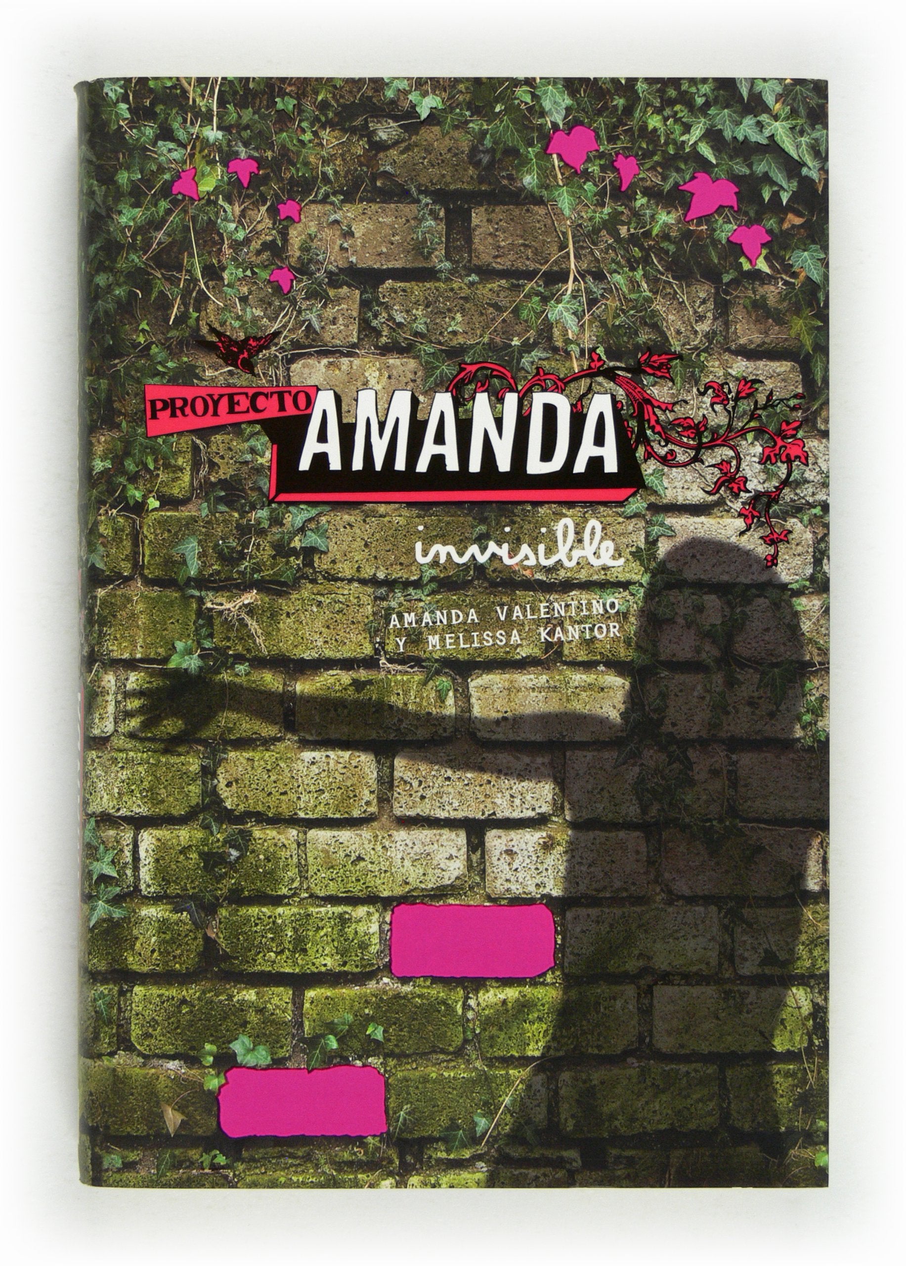 Proyecto Amanda: Invisible: 1
