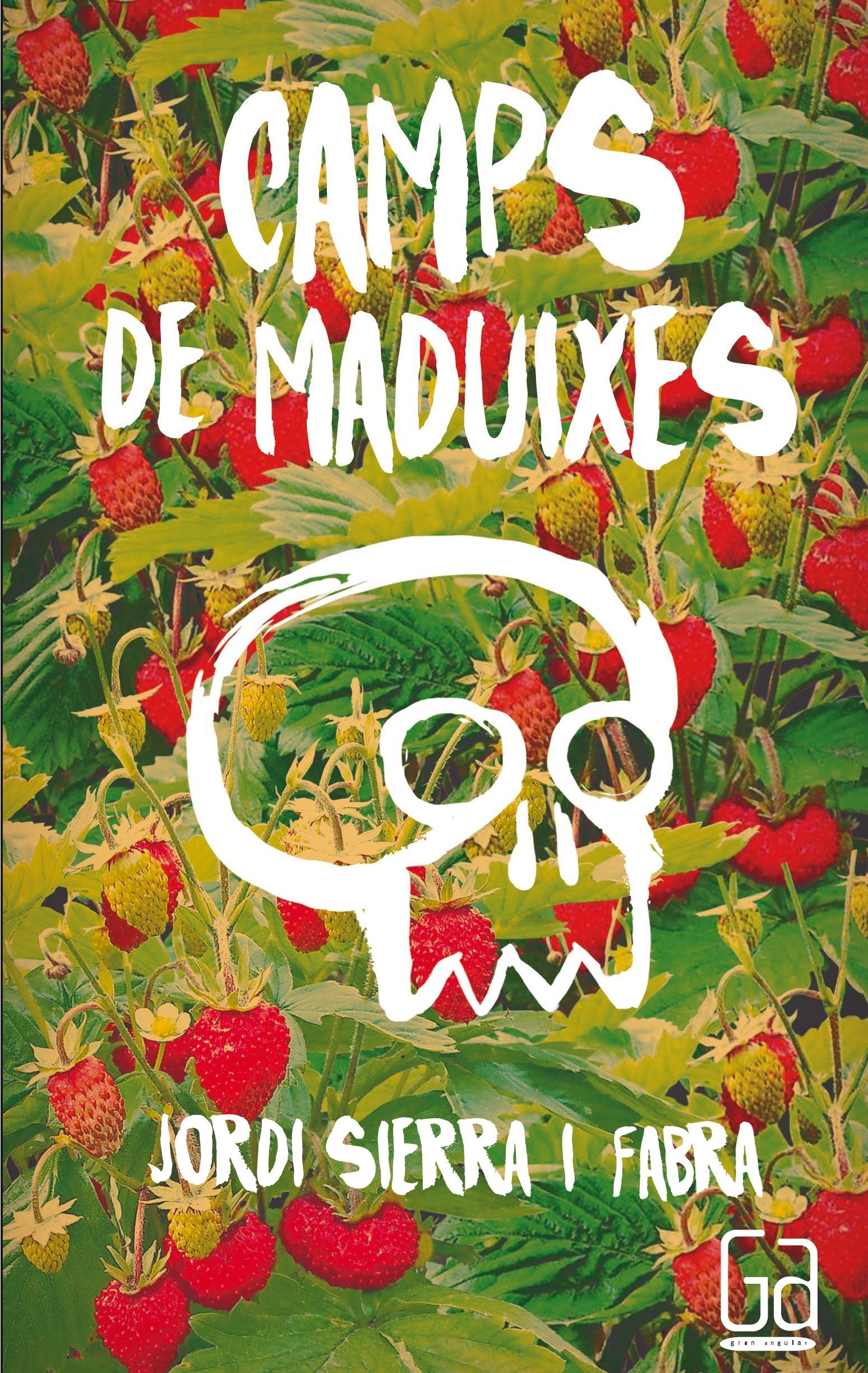Camps de maduixes (Gran Angular)