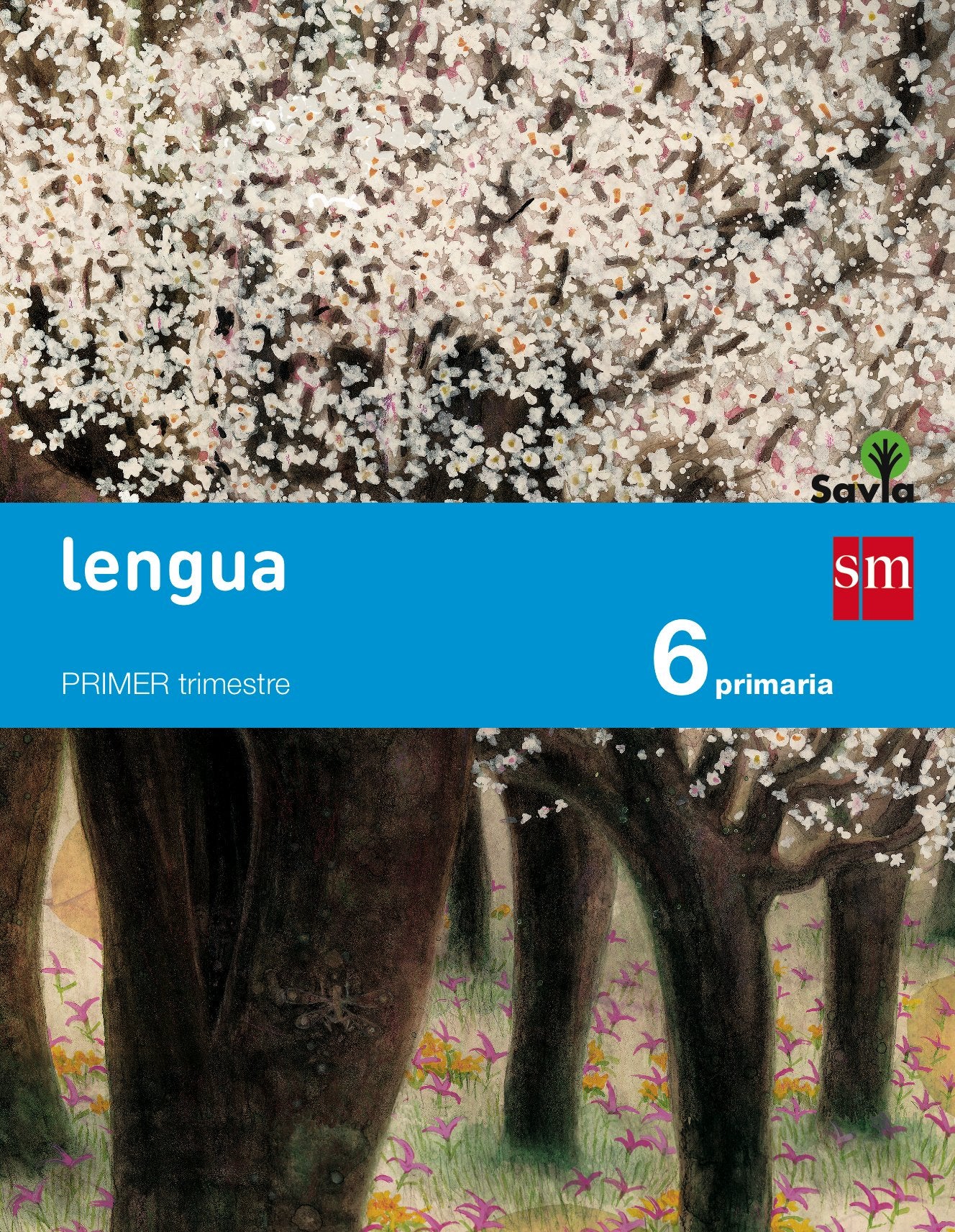 Lengua, 6 Primaria, 1 Trimestre, Savia